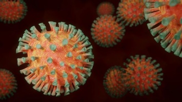 Новосибирский вирусолог сообщил о необычных симптомах омикрон-штамма COVID-19