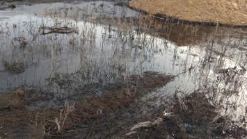 Росприроднадзор: нефтяная компания заплатит 15,5 млн за загрязнение почвы