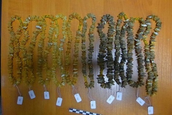 В Нестерове у пассажира поезда изъяли нелегальную партию янтарных изделий (фото)