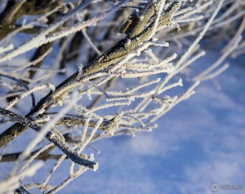 Новая неделя в Кузбассе началась с резких заморозков