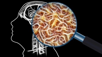 Саратовские ученые придумали новый метод диагностики заболеваний мозга