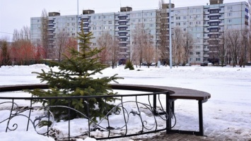 Саратовских журналистов удивили скамейки в парке за 58 тысяч рублей