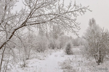 Кузбасские синоптики пообещали резкое похолодание до -27ºС в понедельник