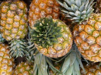 Российский диетолог развеяла миф о способности ананаса сжигать жир