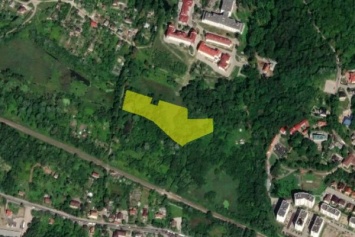Горвласти разрешили застройщику вырубить 181 дерево в районе парка Теодора Кроне