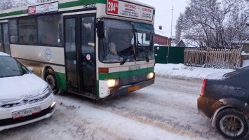 "Меня чуть не сбили!". Водитель автобуса в Энгельсе высадил пассажира посреди дороги