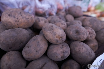 Власти предложили кузбассовцам покупать грязные овощи и нефасованные крупы на фоне взлетевших цен