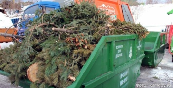 Переработка новогодних елок началась в Петропавловске-Камчатском