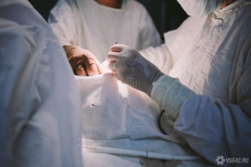 Медики США впервые в истории пересадили две почки свиньи пациенту с мертвым мозгом