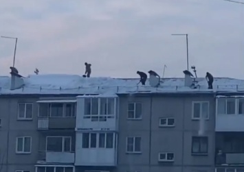 Бесстрашные коммунальщики на крыше пятиэтажки изумили кемеровчан