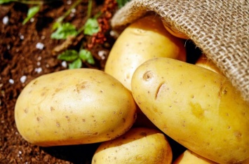 Медики рассказали, как картофель может помочь гипертоникам