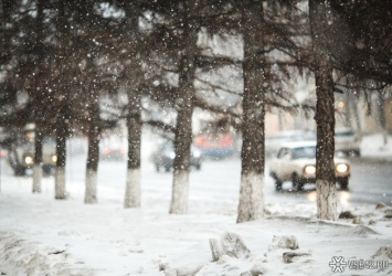 Синоптики спрогнозировали похолодание и усиление ветра на территории Кузбасса