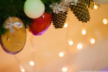 Толстый ствол, запах хвои: Роспотребнадзор дал советы по выбору новогодней елки
