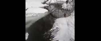 Калужский завод превращает реку в зловонный черный поток