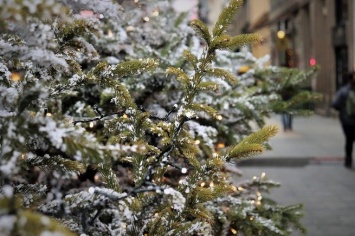 Бывшие жители Припяти установили новогоднюю елку впервые после аварии на АЭС