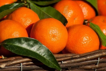 Московские эксперты заявили о невозможности определить качество мандаринов по запаху