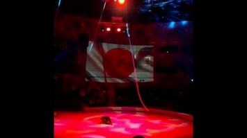 Гимнастка сорвалась с высоты на новогоднем шоу во Владивостоке