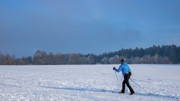Погода на Алтае позволяет гулять на свежем воздухе