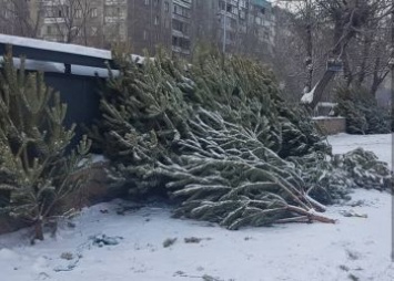 Праздник кончился: благовещенцы начали массово выкидывать новогодние деревья