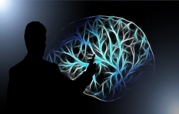 Ученые из Англии разработали прототип импланта мозга