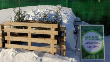 Куда сдать новогоднюю елку в Барнауле