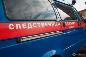 СК возбудил дело после обнаружения возле мусорки в Новокузнецке мертвого младенца