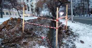 Прокуратура Нижнего Тагила обязала «Швабе-Урал» восстановить поврежденные деревья