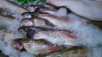 На Алтай пытались незаконно ввезти около 3 тонн замороженной рыбы