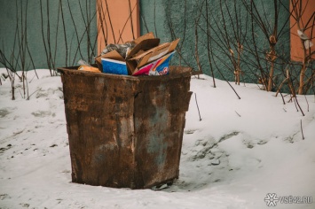 Кузбасские власти создадут новый орган для контроля за мусором