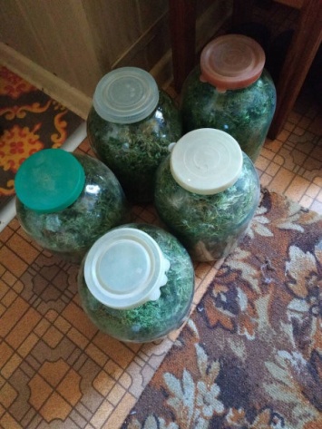 Консервированная "травка": у симферопольца нашли 6 банок с марихуаной