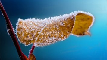 Когда начнутся сильные морозы: 1 ноября на Руси праздновали начало зимы