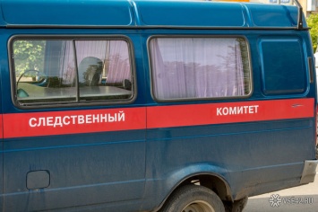 СК прекратил уголовное преследование отомстившего за смерть щенка подростка в Томске