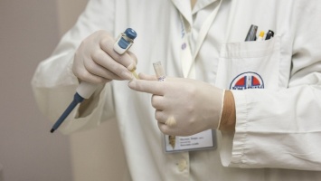 Новые результаты в лечении остеопороза получили новосибирские ученые
