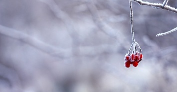 В России по предварительным прогнозам метеорологов ожидается «розовая» зима