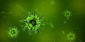 Минздрав назвал китайский коронавирус биологической угрозой для россиян