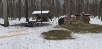 В Белгородских лесах установили кормушки для животных