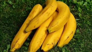 Россияне предпочитают покупать бананы