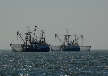 Потеряна связь с терпящим бедствие рыболовецким судном в Охотском море