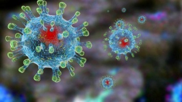 Диетолог Марият Мухина подсказала, как повысить иммунитет и защитить организм от коронавируса