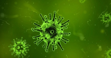 Минздрав Свердловской области заявил об отсутствии заболевших коронавирусом в регионе