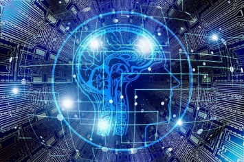 Австралийский ученый заявил о возможности связать мозг и технику с помощью 6G