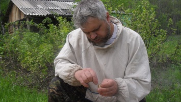 Новое объединение пчеловодов появится в Алтайском крае