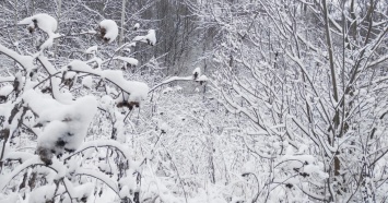 МЧС предупреждает свердловчан о гололедице и сильных снегопадах