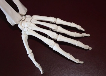 Эксперты назвали 3 хитрости по избавлению от остеопороза