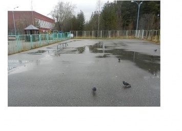 Для скейтеров в трех районах Карелии оборудуют специальные площадки