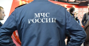 На Урале по требованию суда МЧС эвакуирует работников птицефабрики