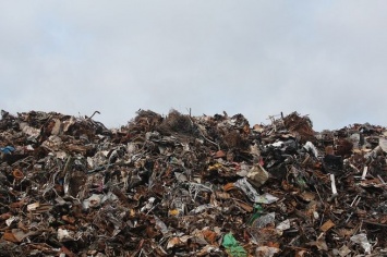 Цифровая карта мусорных полигонов и незаконных свалок появится в России
