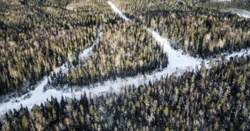 Суд признал незаконной вырубку леса рядом с озером Балтым