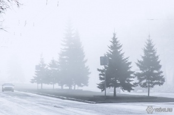 Синоптики предупредили кузбассовцев о густых туманах в понедельник
