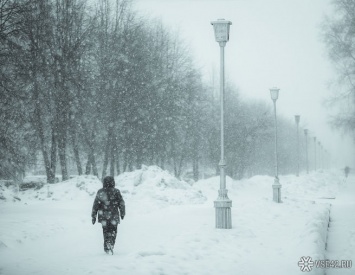 Синоптики предупредили о мокром снеге и оттепели в Кузбассе